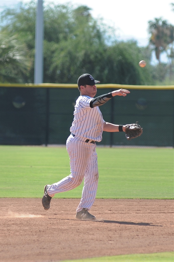 Seals_2019-10-09 (343).JPG - (c)2010 DeVetter